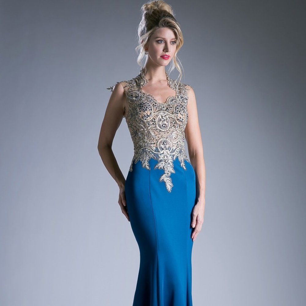 NEW LONG SLEEVELESS EMBROIDERED RHINESTONES GOWN WITH ILLUSION OPEN BACK CD 7263